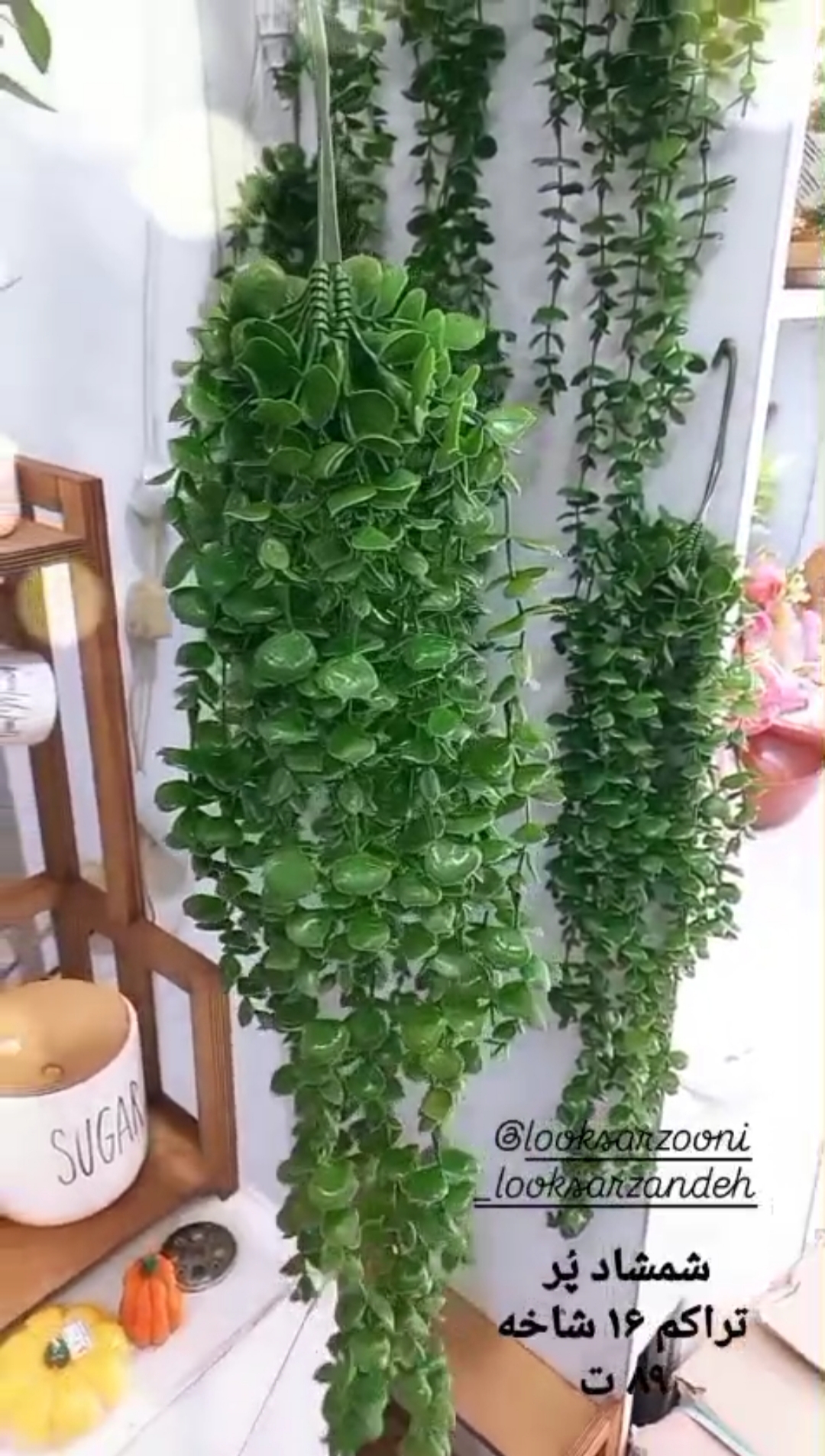 آویز ریسه شمشاد ۱۶شاخه