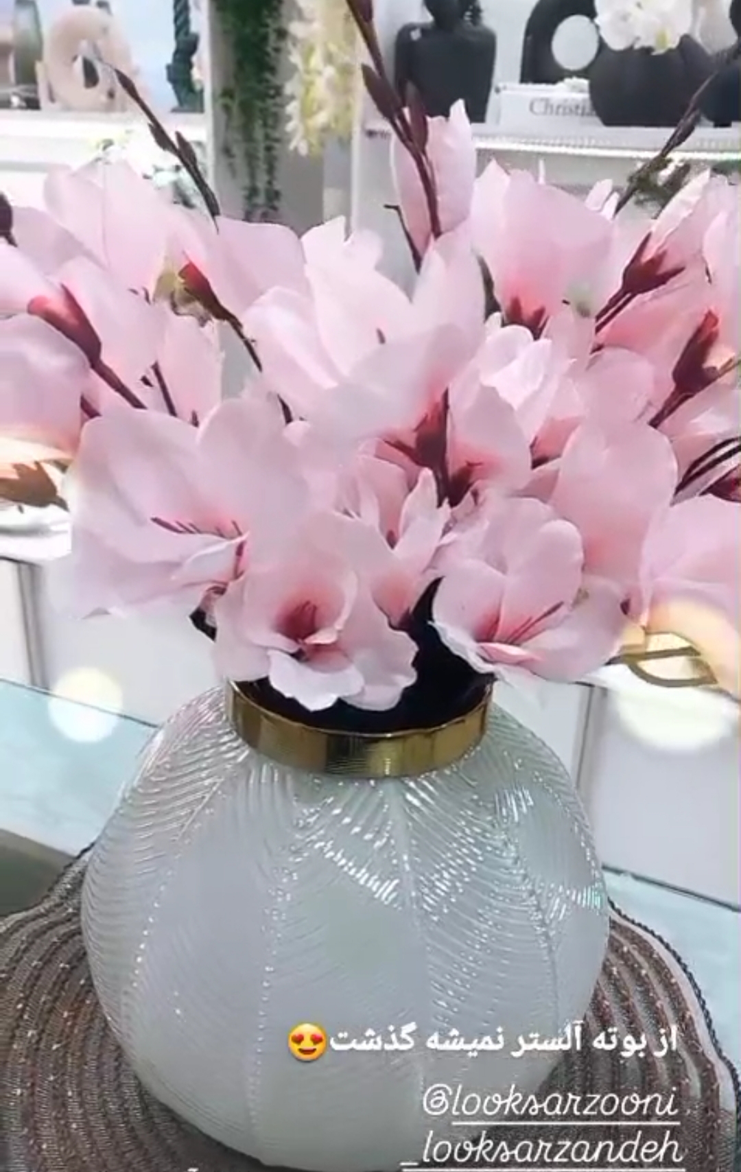 گل بوته آلستر