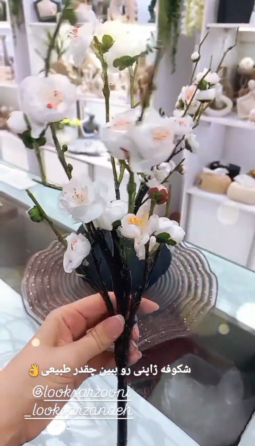 گل شکوفه ژاپنی